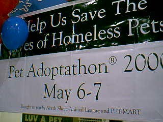 Adoptathon