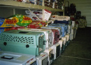 WaitingCats