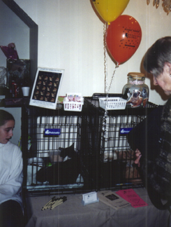 Cats