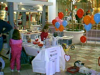 Mall