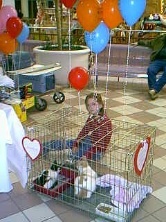 Mall